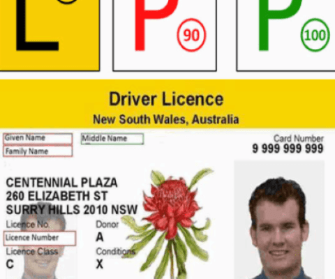 From L to P Licence