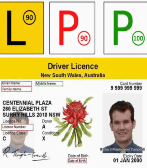 From L to P Licence